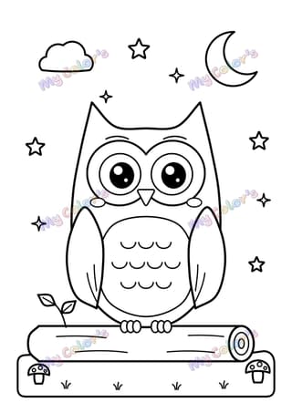 Coloriage Hibou de la nuit à imprimer