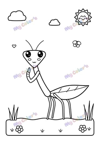 Coloriage La mante religieuse à imprimer